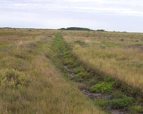Gran Estancia con Riego, 1600 Ha en Pedro Luro - Pcia BS AS