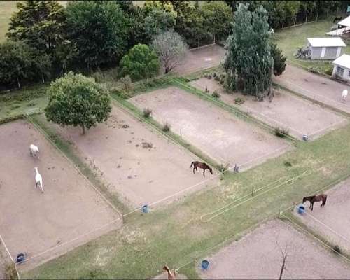 Matrimonio para Cuidado de Predio y Ayuda Domestica