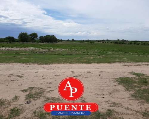 En Venta 2500 HA. Carro Quemado, la Pampa