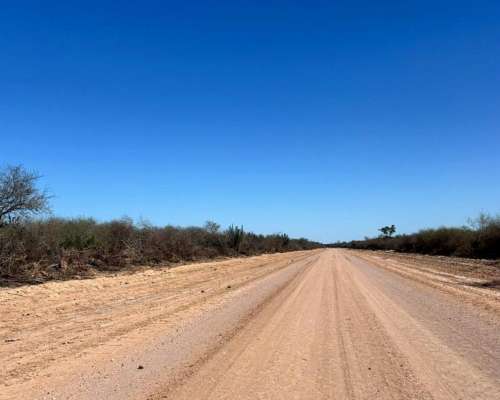 Vendo Campo de 1000 Has en Dpto Jimenez - SGO del Estero