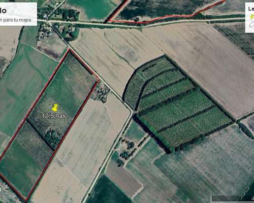 Campo de 12,5 Has 100 % Agrícolas de Excelente Calidad