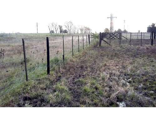Campo en Venta en Punta Indio - 93 Hectáreas Sobre Ruta