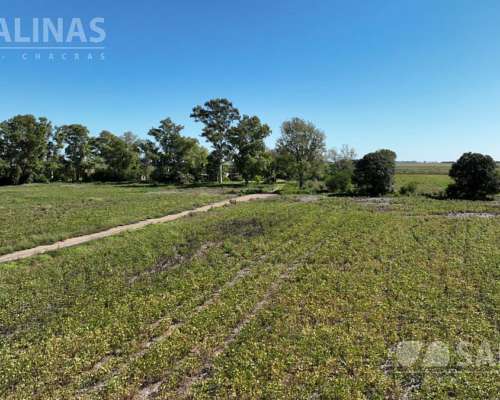 78 Has. Campo Agrícola en Villa Ruiz