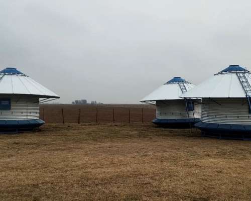 Silos Comedero 2, 4, 7, 12 y 18 TN