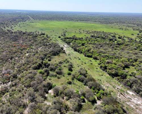 4200 Has Ganaderas los Tábanos Vera Santa FE