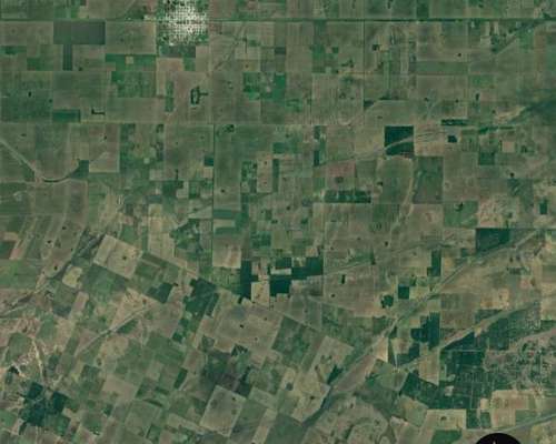 Últimos Campos Ideal Inversores en Alicia