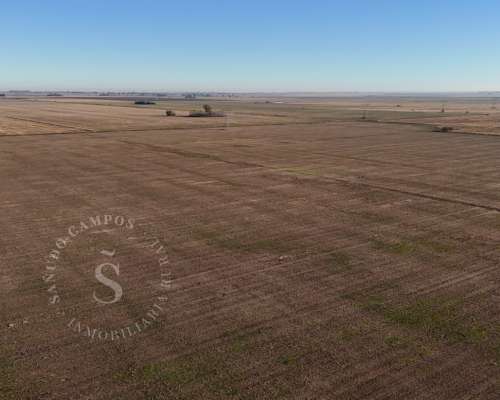 Venta Campo Agrícola. Díaz, Santa FE. 160 HA.
