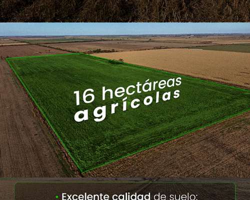 Santa Clara de Buena Vista 16 Has Agrícolas. Campo en Venta.