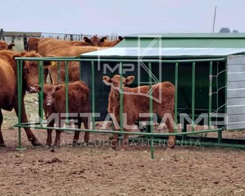 Comedero Creep Feeding para Ternero, Destete