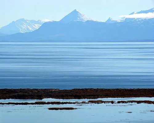 Venta de 8.900 Has. Santa Cruz - Perito Moreno - Patagonia