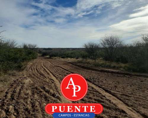 En Venta 750 HA. Chamaicó, la Pampa