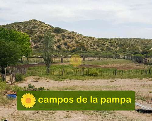 Mendoza - Venta Estancia Ganadera 94.000 Ha