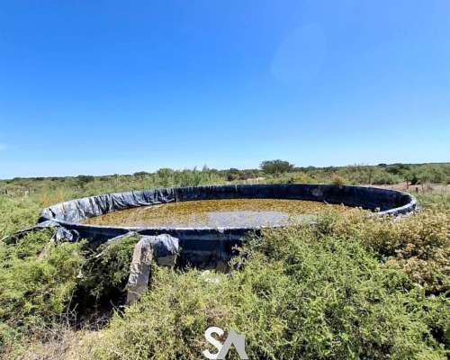 Vende: Campo de 12.342 Hectáreas, Limay Mahuida, la Pampa