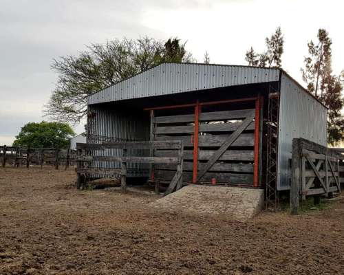 Vera, Santa FE - 7.866 Ha