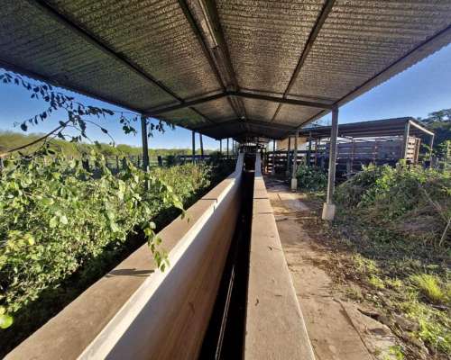 Alto Alegre, Patiño, Formosa - 46.106 Ha