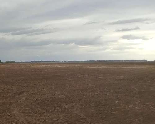 Gran Oportunidad en Lobería