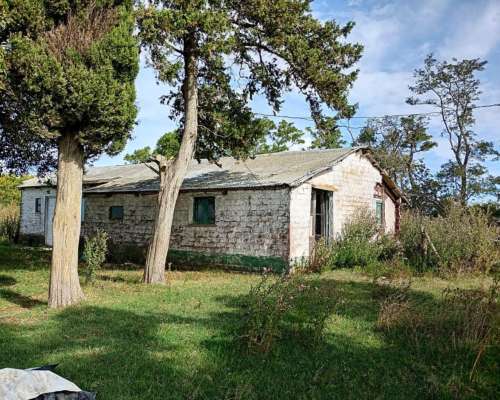 302 HA, Ganadero, Chascomus