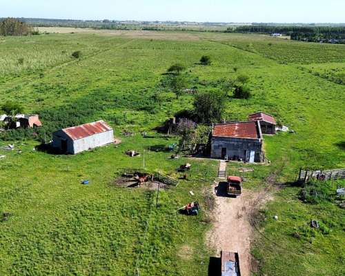 Vendo Campo 20 Has en Ruta 39 Concepción del Uruguay Entre R