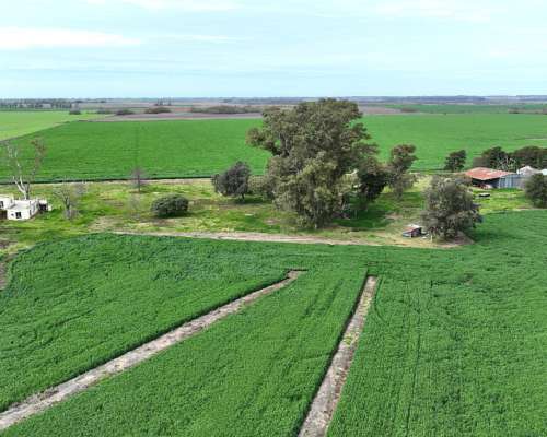 210 Has. Campo Agrícola en Arrecifes