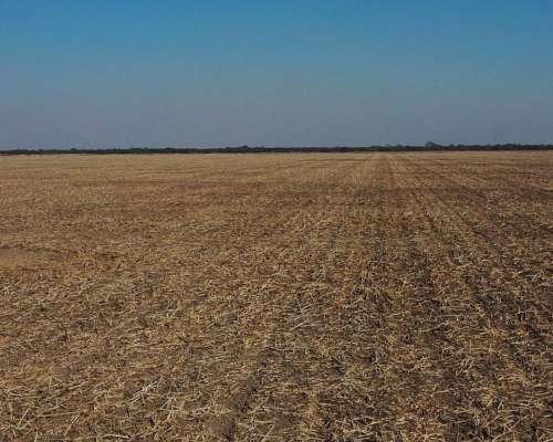 Santiago del Estero Bandera Fortin Inca 1.000 Has Agricolas