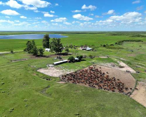 Pcia. de Corrientes - Malvinas 10808 Has