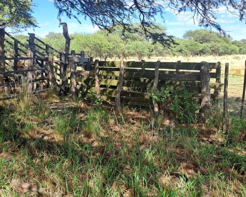 Juan Jorba Alquiler 176 Has