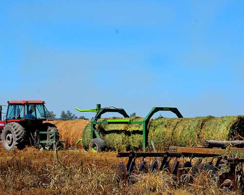 Cargador Transportador de Rollos TR 8000 Bernardin