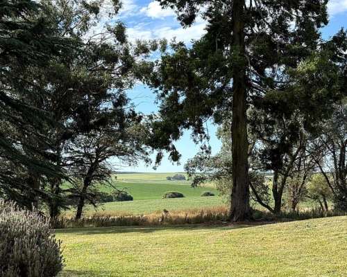 851 Has. Campo Agrícola en Tandil