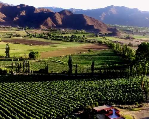 Pcia. de Salta - Bodega Miraluna - Cachi 16 Has