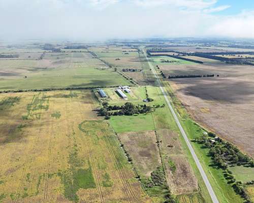 Campo Productivo de 67 Ha en Venta en Baradero Sobre Ruta