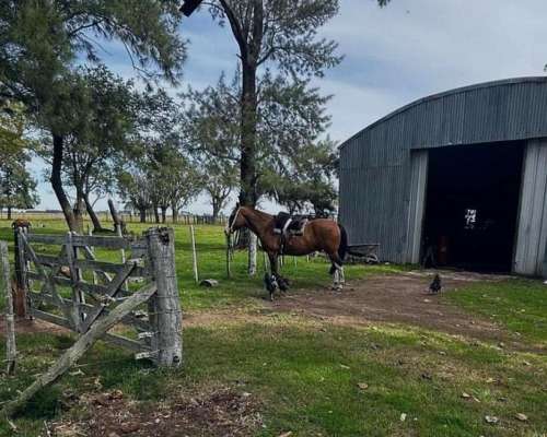Campo en Venta Sobre Ruta 29. Ranchos
