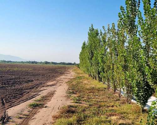 Campo en Valle de Jujuy