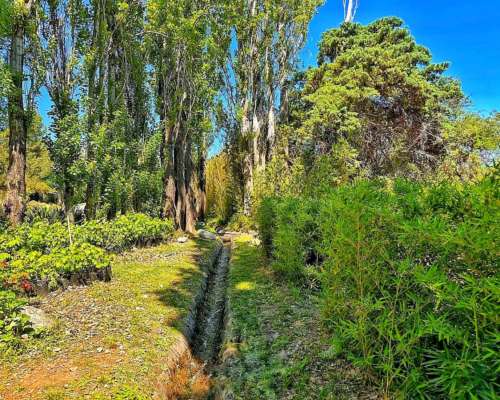 🏞️𝟑 𝐇𝐚𝐬 𝐓𝐫𝐚𝐬𝐥𝐚𝐬𝐢𝐞. 𝐋𝐨𝐦𝐚 𝐁𝐨𝐥𝐚 𝐂𝐛𝐚