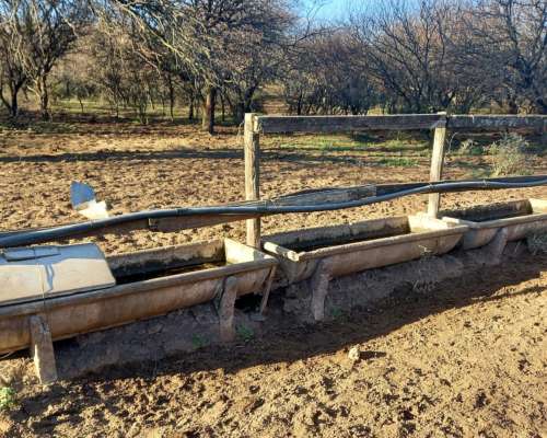 1.140 Ha Excelente Campo de Monte en San German, Puan