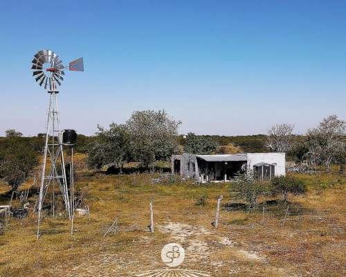 35 Hectáreas Ganaderas con Todas las Mejoras, Gualeguaychú.