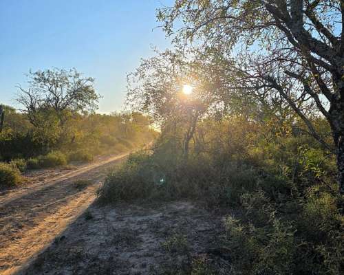 Vendo Campo en Lugones S/ Ruta 34 SGO del Estero 947 Has