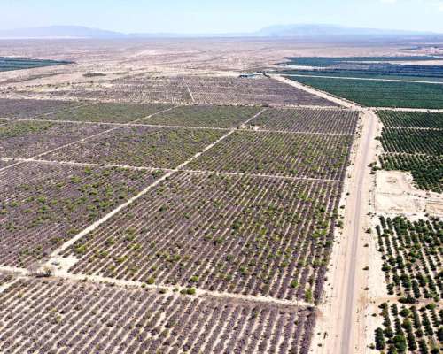 Aimogasta, Arauco, la Rioja, Argentina