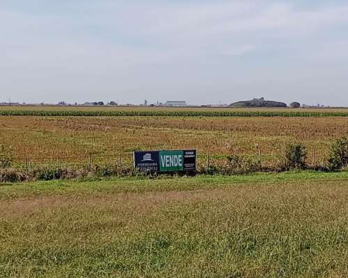 Inmobiliaria Caturegli Vende 7 Hectáreas de Campo.
