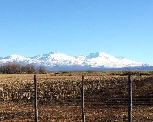 714 Hectáreas - Campo en Malargue Mendoza Argentina