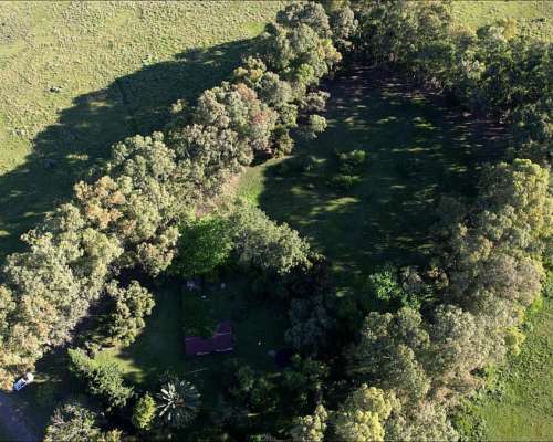 Campo en Venta 170 Hectáreas en Punta Indio