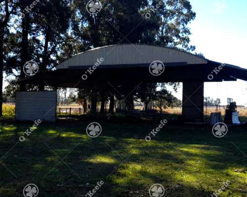 Chacra en Venta de 10 Has en Bragado con Mejoras