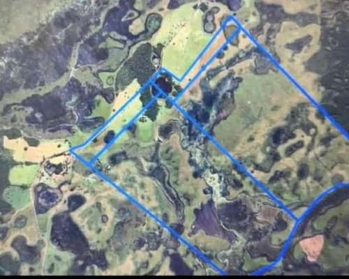 Impresionante Campo Mixto Forestal. Oportunidad de Inversion