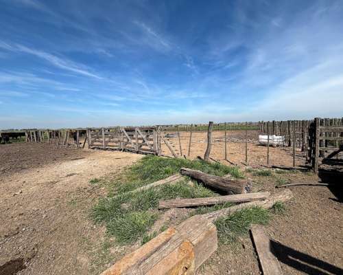 Importante Campo en Venta San Vicente