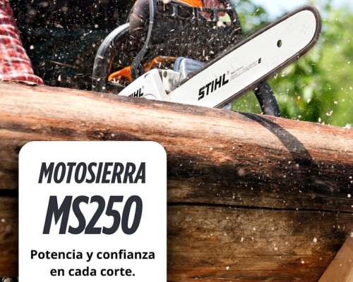 Motosierra Stihl MS 250