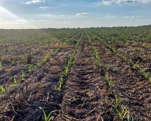 Bell Ville 72 Hectáreas a la Venta Sobre Autopista