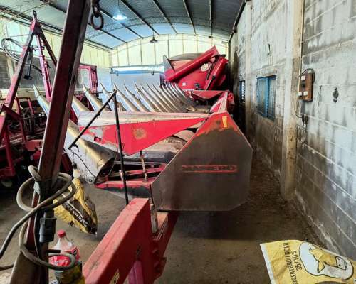 Maicero Mainero 2000 de 16 a 52 muy Bueno 2008