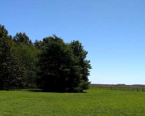 La Plata- 134 HA- Buenos Aires