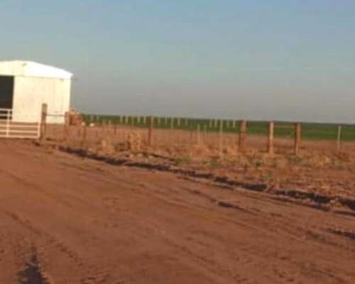 2700 Has - Ruta 127 Federal SUR - Venta