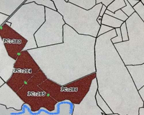 Campo Ganadero en Chaco