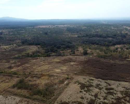 Campo en Venta en Embarcacion